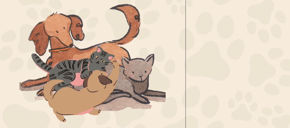 Mate for  Pet